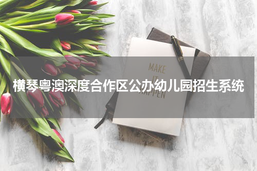 横琴粤澳深度合作区公办幼儿园招生系统
