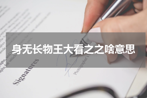 身无长物王大看之之啥意思