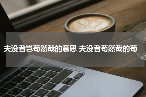 夫没者岂苟然哉的意思 夫没者苟然哉的苟