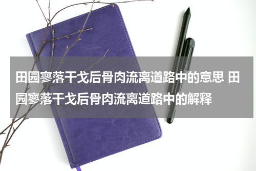 田园寥落干戈后骨肉流离道路中的意思 田园寥落干戈后骨肉流离道路中的解释