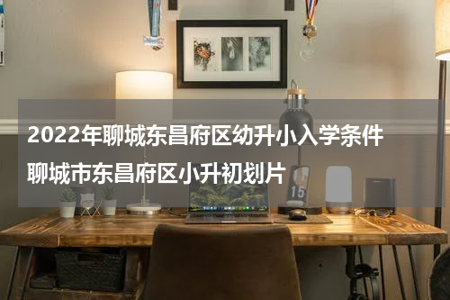 2022年聊城东昌府区幼升小入学条件 聊城市东昌府区小升初划片