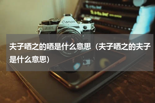 夫子哂之的哂是什么意思（夫子哂之的夫子是什么意思）