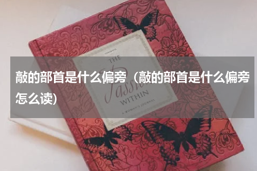 敲的部首是什么偏旁（敲的部首是什么偏旁怎么读）
