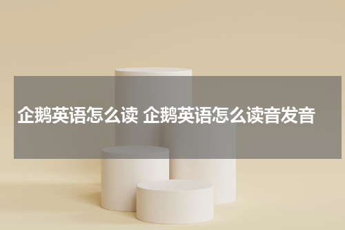 企鹅英语怎么读 企鹅英语怎么读音发音