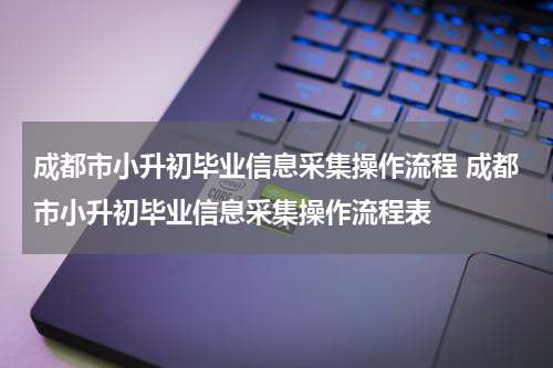 成都市小升初毕业信息采集操作流程 成都市小升初毕业信息采集操作流程表