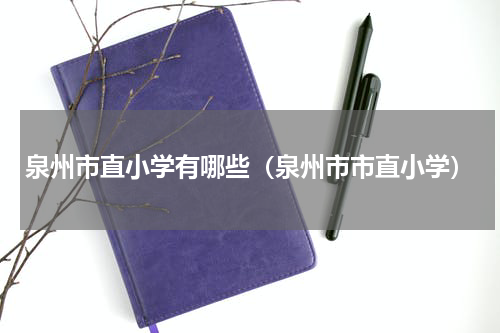 泉州市直小学有哪些（泉州市市直小学）