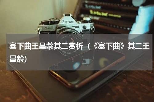 塞下曲王昌龄其二赏析（《塞下曲》其二王昌龄）