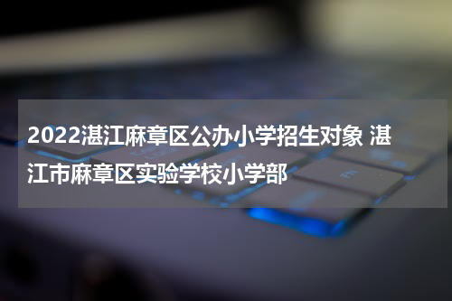 2022湛江麻章区公办小学招生对象 湛江市麻章区实验学校小学部