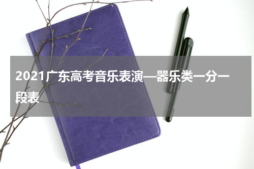 2021广东高考音乐表演—器乐类一分一段表