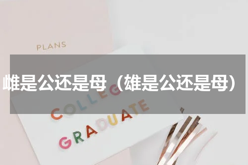 雌是公还是母（雄是公还是母）