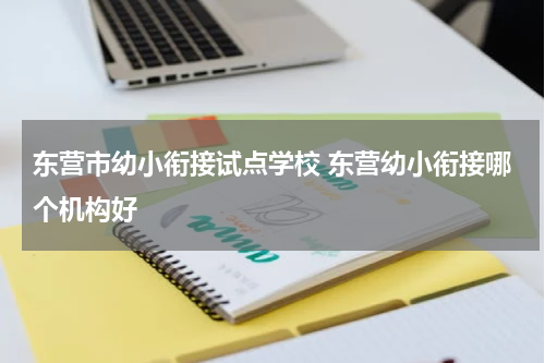 东营市幼小衔接试点学校 东营幼小衔接哪个机构好