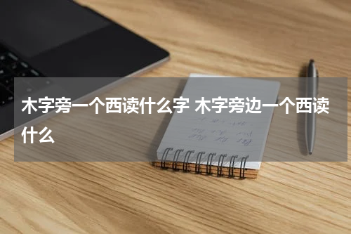 木字旁一个西读什么字 木字旁边一个西读什么