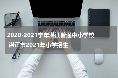 2020-2021学年湛江普通中小学校 湛江市2021年小学招生