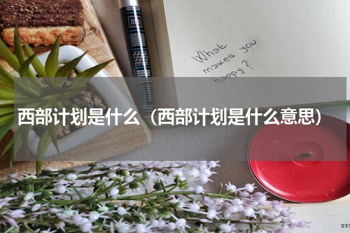 西部计划是什么（西部计划是什么意思）