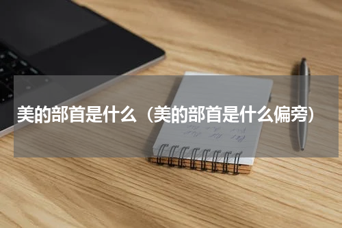 美的部首是什么（美的部首是什么偏旁）