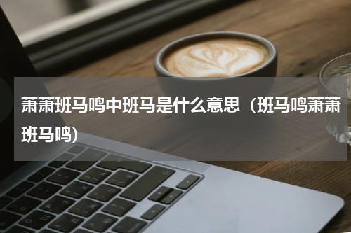 萧萧班马鸣中班马是什么意思（班马鸣萧萧班马鸣）