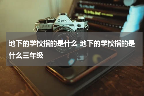 地下的学校指的是什么 地下的学校指的是什么三年级