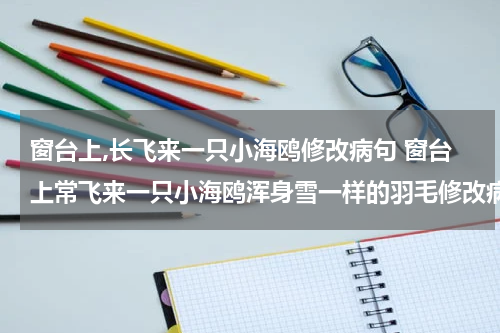 窗台上,长飞来一只小海鸥修改病句 窗台上常飞来一只小海鸥浑身雪一样的羽毛修改病句