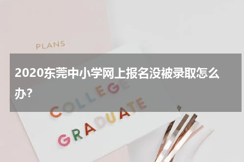 2020东莞中小学网上报名没被录取怎么办？