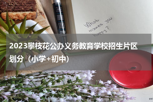 2023攀枝花公办义务教育学校招生片区划分（小学+初中）