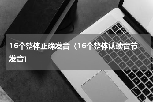 16个整体正确发音（16个整体认读音节发音）