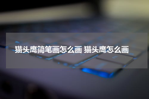 猫头鹰简笔画怎么画 猫头鹰怎么画