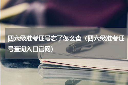 四六级准考证号忘了怎么查（四六级准考证号查询入口官网）
