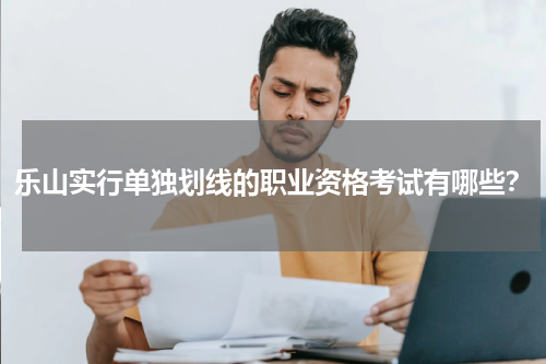乐山实行单独划线的职业资格考试有哪些？