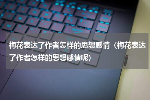 梅花表达了作者怎样的思想感情（梅花表达了作者怎样的思想感情呢）