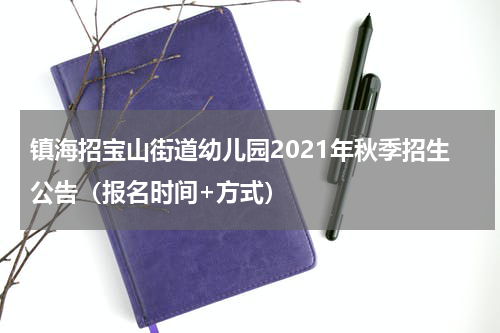 镇海招宝山街道幼儿园2021年秋季招生公告（报名时间+方式）