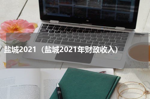 盐城2021（盐城2021年财政收入）