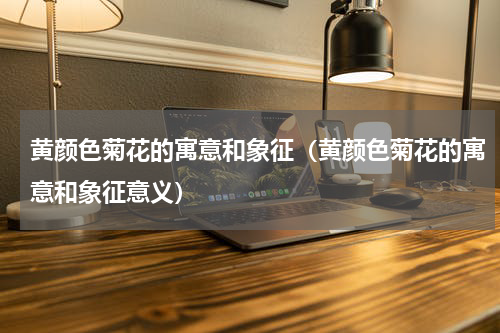 黄颜色菊花的寓意和象征（黄颜色菊花的寓意和象征意义）