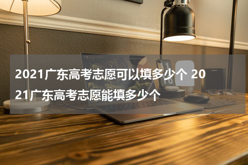 2021广东高考志愿可以填多少个 2021广东高考志愿能填多少个