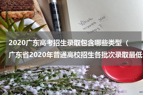 2020广东高考招生录取包含哪些类型（广东省2020年普通高校招生各批次录取最低分数线）