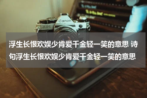 浮生长恨欢娱少肯爱千金轻一笑的意思 诗句浮生长恨欢娱少肯爱千金轻一笑的意思