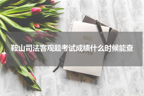 鞍山司法客观题考试成绩什么时候能查