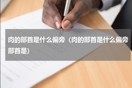 肉的部首是什么偏旁（肉的部首是什么偏旁部首是）