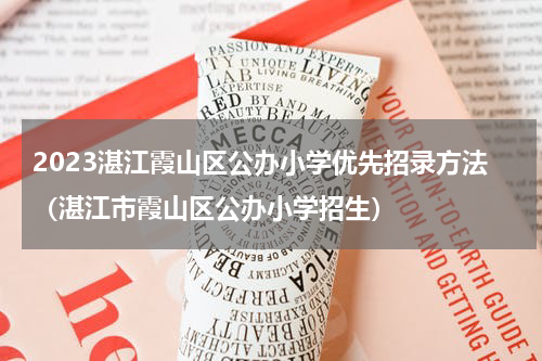 2023湛江霞山区公办小学优先招录方法（湛江市霞山区公办小学招生）