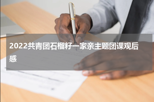 2022共青团石榴籽一家亲主题团课观后感