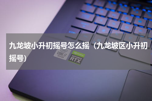 九龙坡小升初摇号怎么摇（九龙坡区小升初摇号）