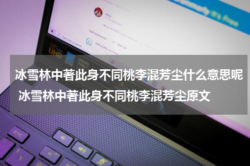 冰雪林中著此身不同桃李混芳尘什么意思呢 冰雪林中著此身不同桃李混芳尘原文