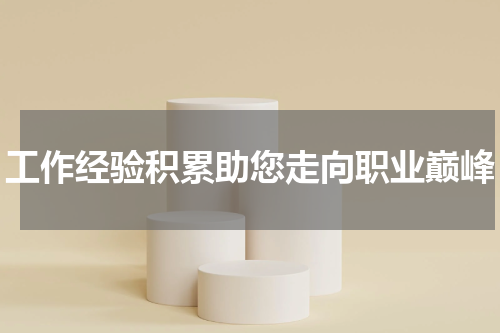 工作经验积累助您走向职业巅峰
