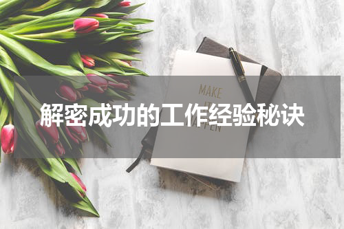 解密成功的工作经验秘诀