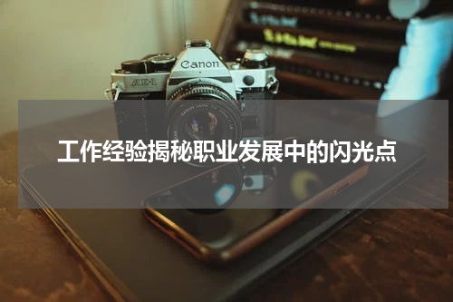 工作经验揭秘职业发展中的闪光点