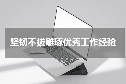 坚韧不拔雕琢优秀工作经验