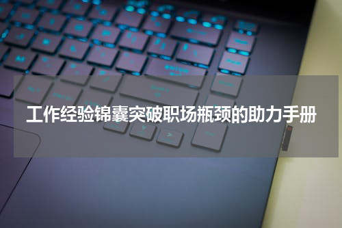 工作经验锦囊突破职场瓶颈的助力手册