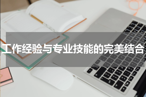 工作经验与专业技能的完美结合
