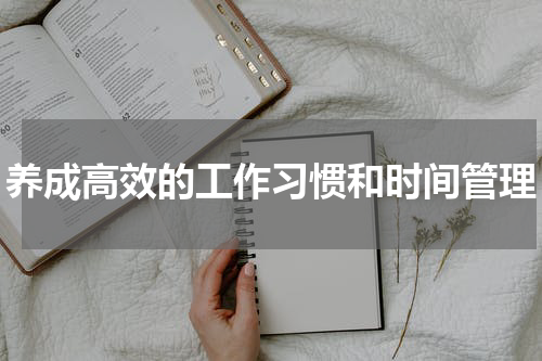 养成高效的工作习惯和时间管理