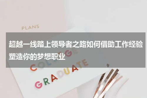 超越一线踏上领导者之路如何借助工作经验塑造你的梦想职业