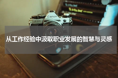 从工作经验中汲取职业发展的智慧与灵感